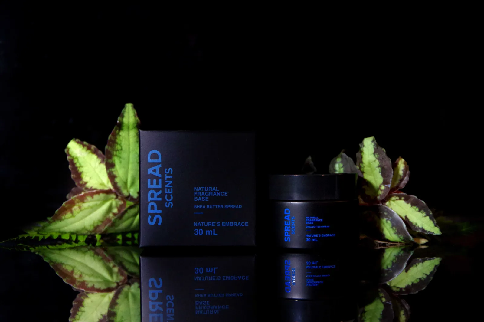 Nature's Embrace scent balm in a 30 mL glass jar beside its box on a dark reflective surface